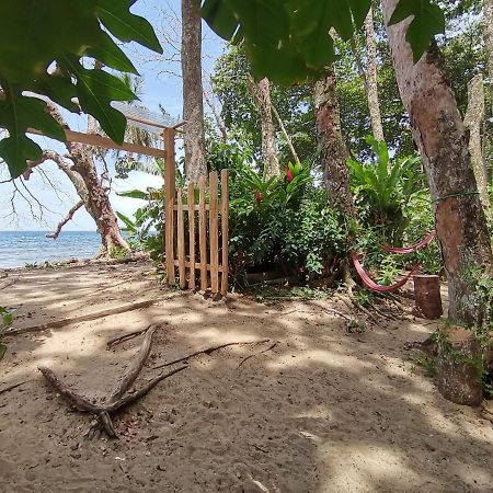 نزل Puerto Viejo de Talamancaفي Oasis المظهر الخارجي الصورة
