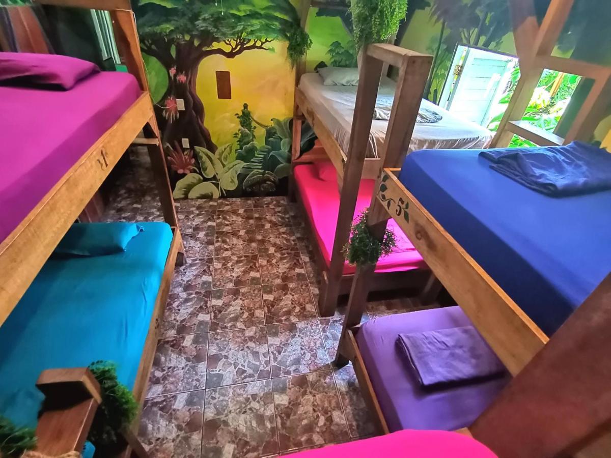 نزل Puerto Viejo de Talamancaفي Oasis المظهر الخارجي الصورة