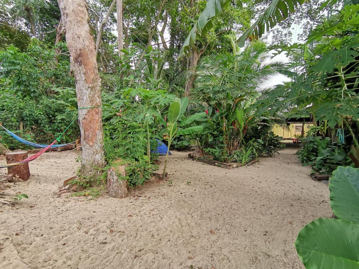 نزل Puerto Viejo de Talamancaفي Oasis المظهر الخارجي الصورة