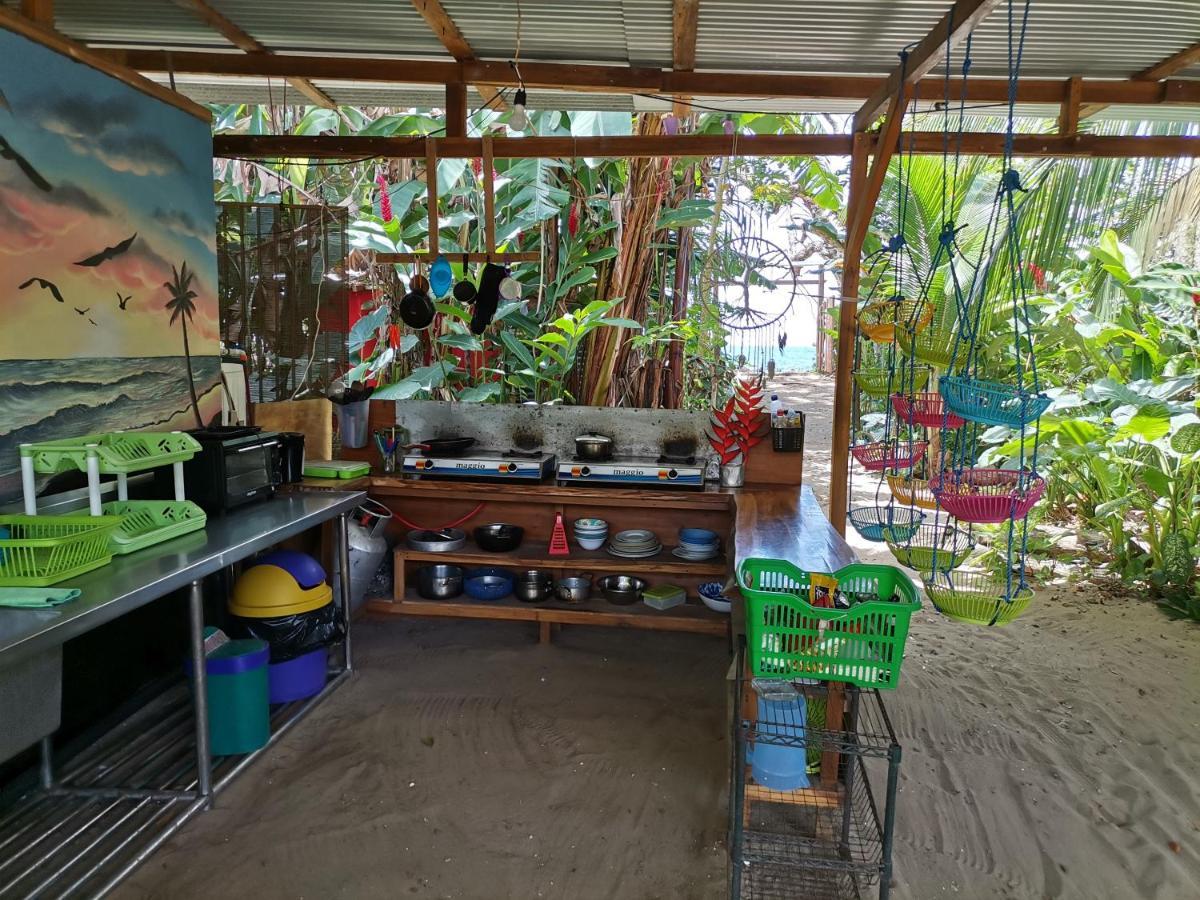 نزل Puerto Viejo de Talamancaفي Oasis المظهر الخارجي الصورة