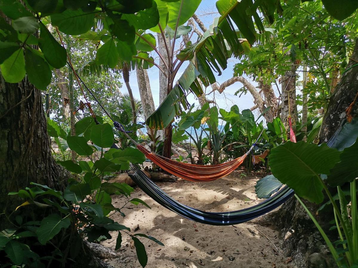 نزل Puerto Viejo de Talamancaفي Oasis المظهر الخارجي الصورة