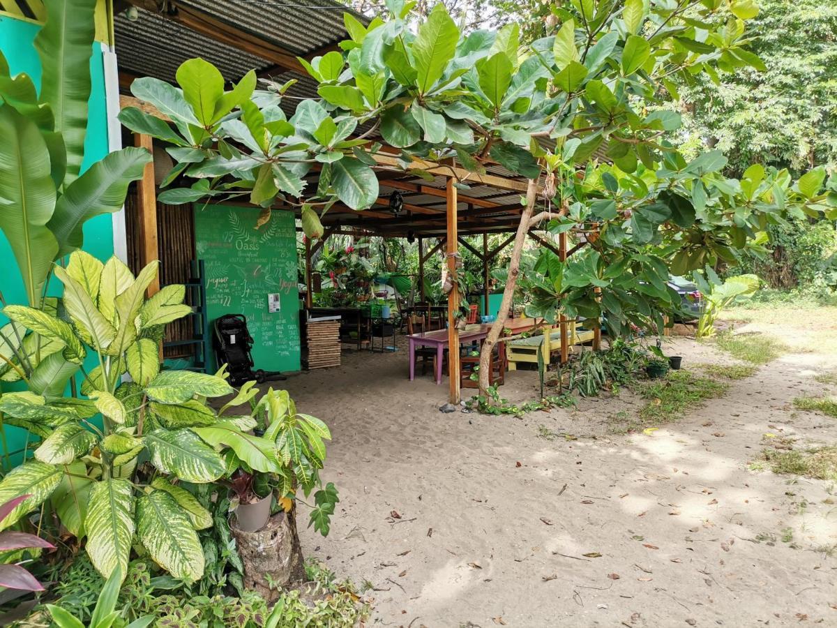 نزل Puerto Viejo de Talamancaفي Oasis المظهر الخارجي الصورة