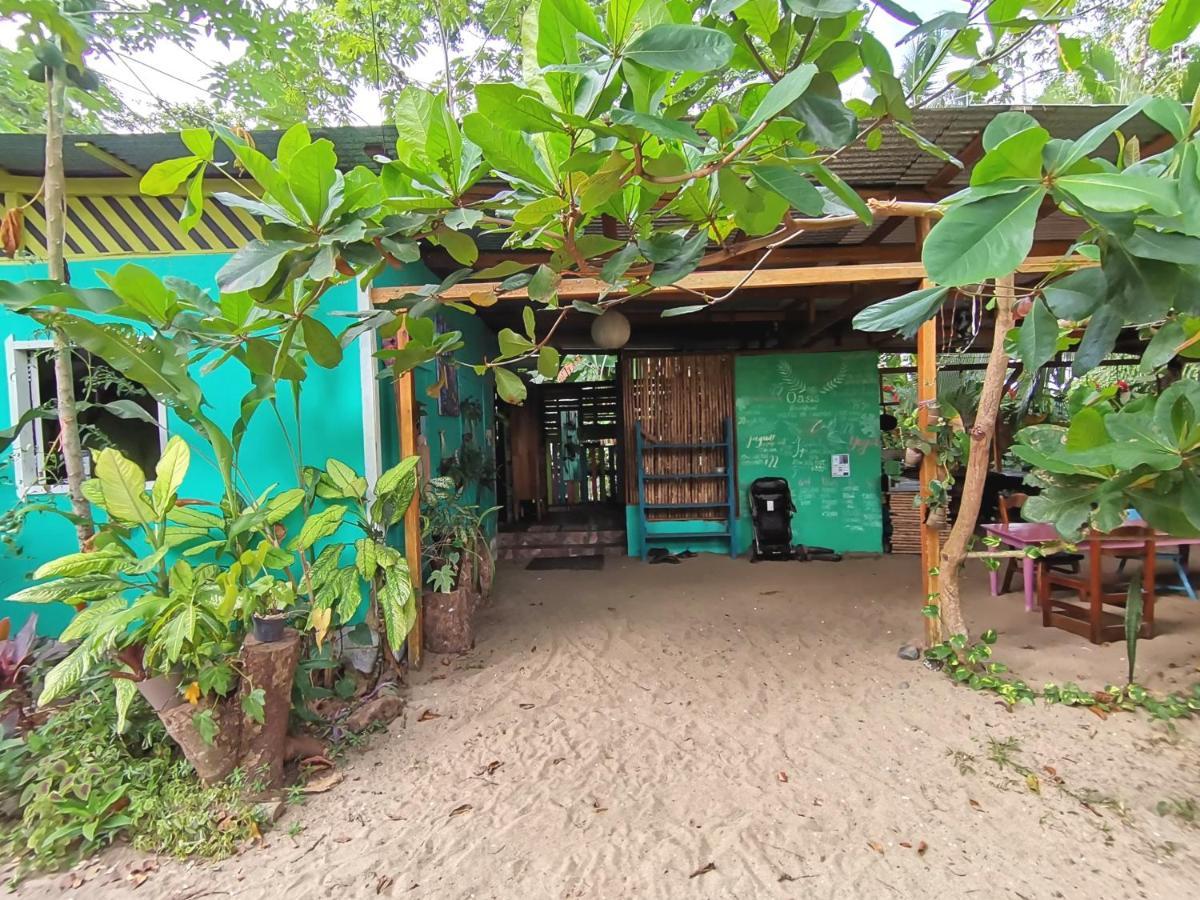 نزل Puerto Viejo de Talamancaفي Oasis المظهر الخارجي الصورة