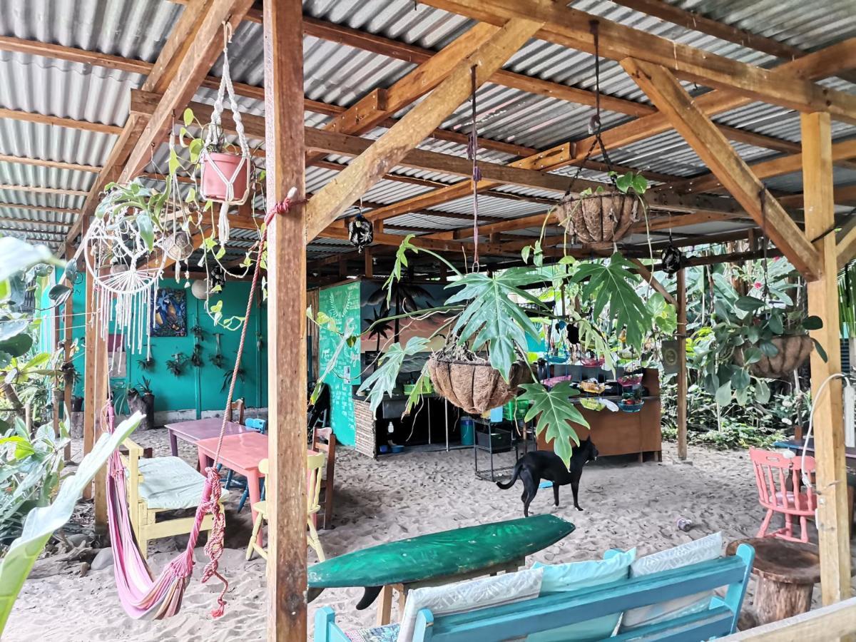نزل Puerto Viejo de Talamancaفي Oasis المظهر الخارجي الصورة
