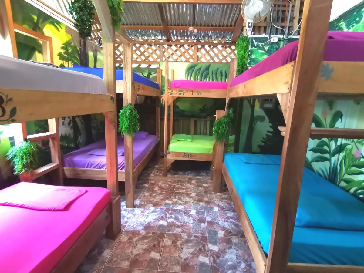نزل Puerto Viejo de Talamancaفي Oasis المظهر الخارجي الصورة