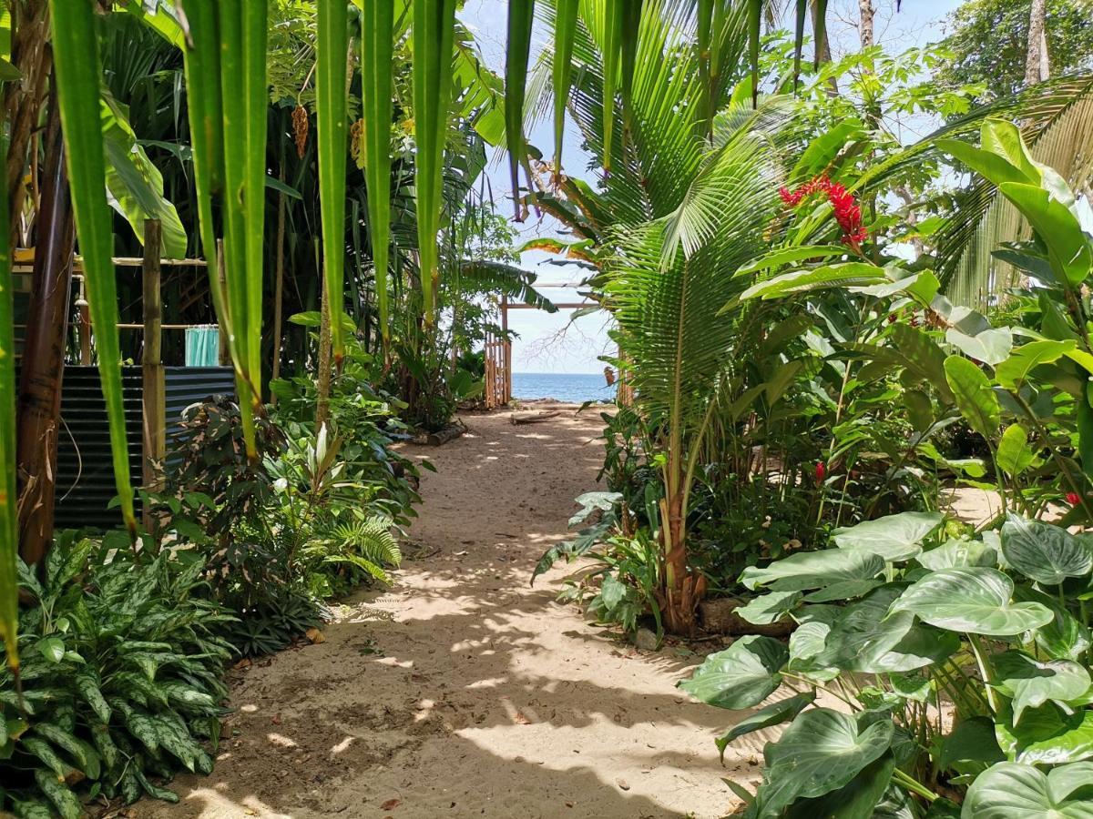 نزل Puerto Viejo de Talamancaفي Oasis المظهر الخارجي الصورة