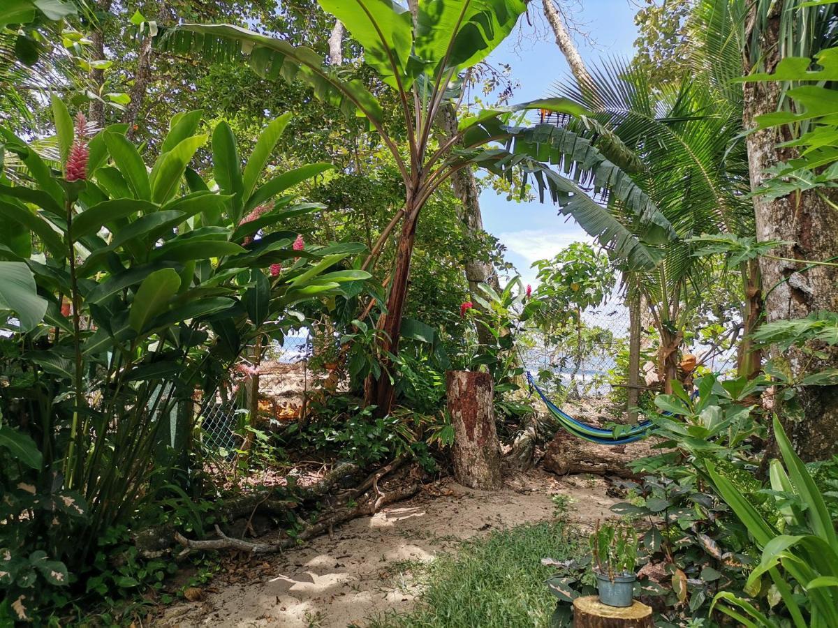 نزل Puerto Viejo de Talamancaفي Oasis المظهر الخارجي الصورة