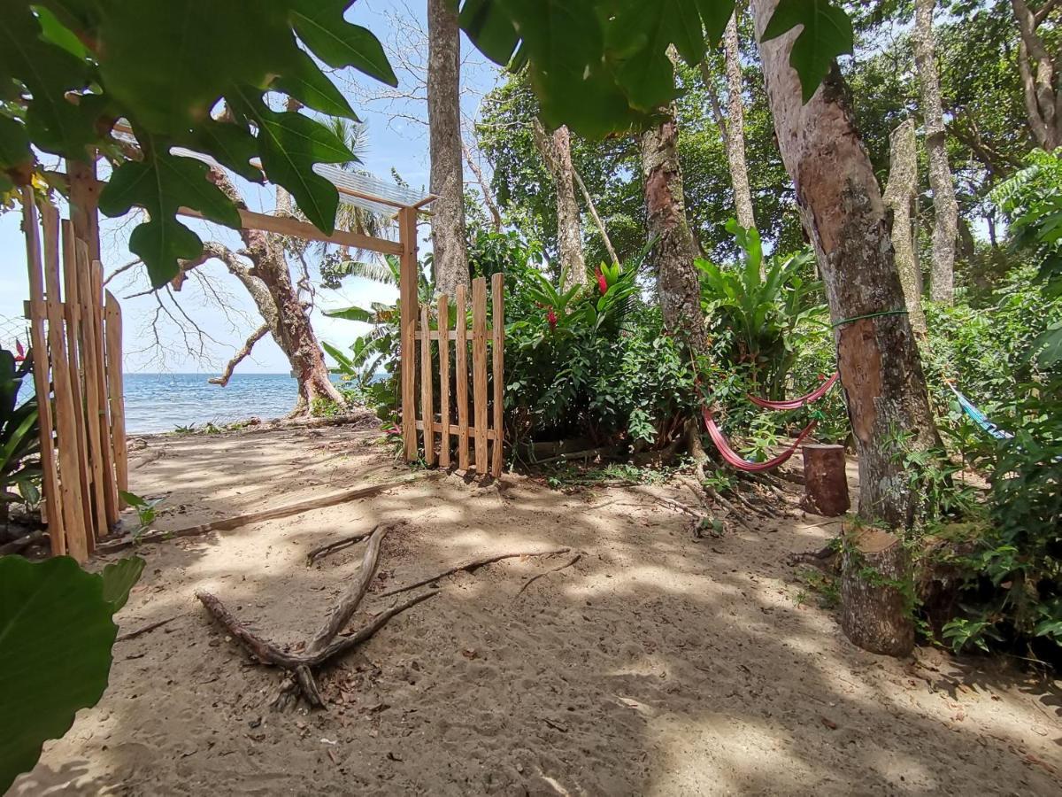 نزل Puerto Viejo de Talamancaفي Oasis المظهر الخارجي الصورة
