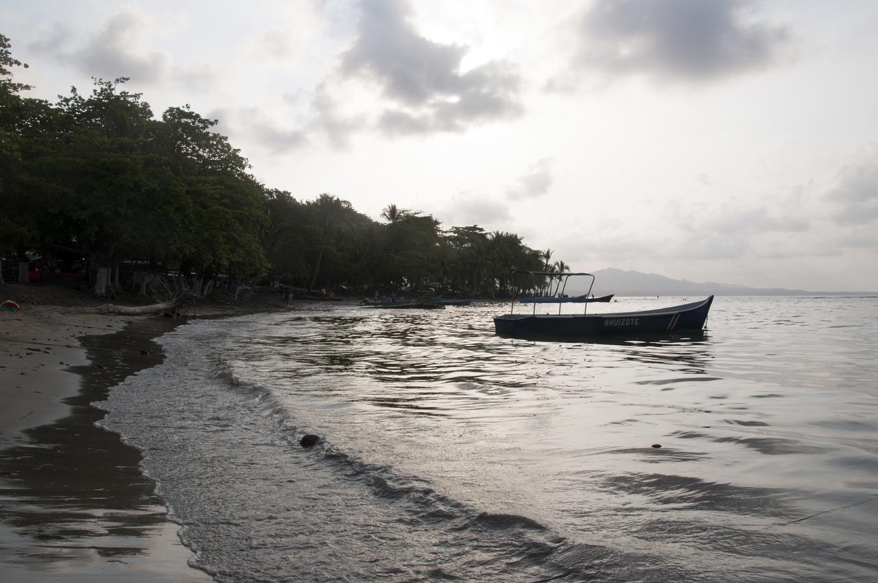 نزل Puerto Viejo de Talamancaفي Oasis المظهر الخارجي الصورة