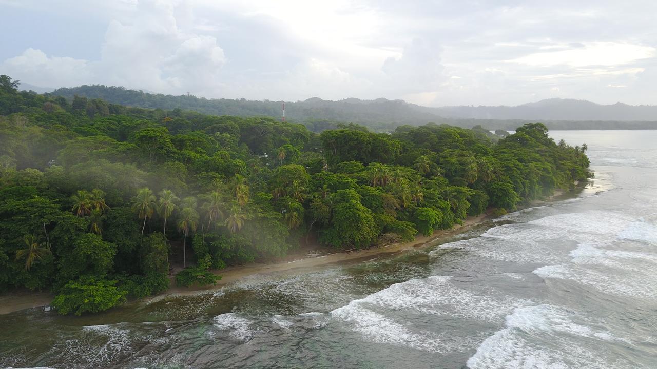 نزل Puerto Viejo de Talamancaفي Oasis المظهر الخارجي الصورة