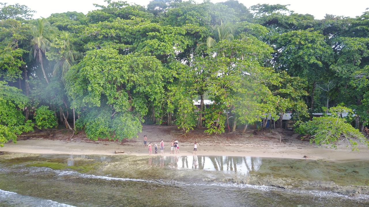 نزل Puerto Viejo de Talamancaفي Oasis المظهر الخارجي الصورة