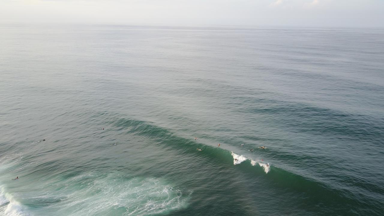 نزل Puerto Viejo de Talamancaفي Oasis المظهر الخارجي الصورة