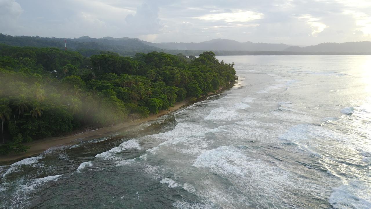 نزل Puerto Viejo de Talamancaفي Oasis المظهر الخارجي الصورة