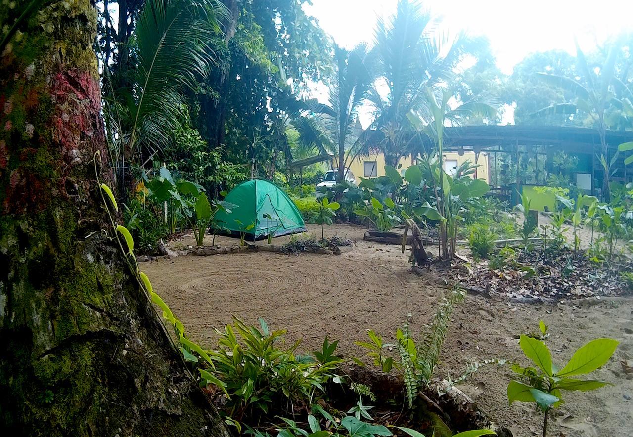 نزل Puerto Viejo de Talamancaفي Oasis المظهر الخارجي الصورة