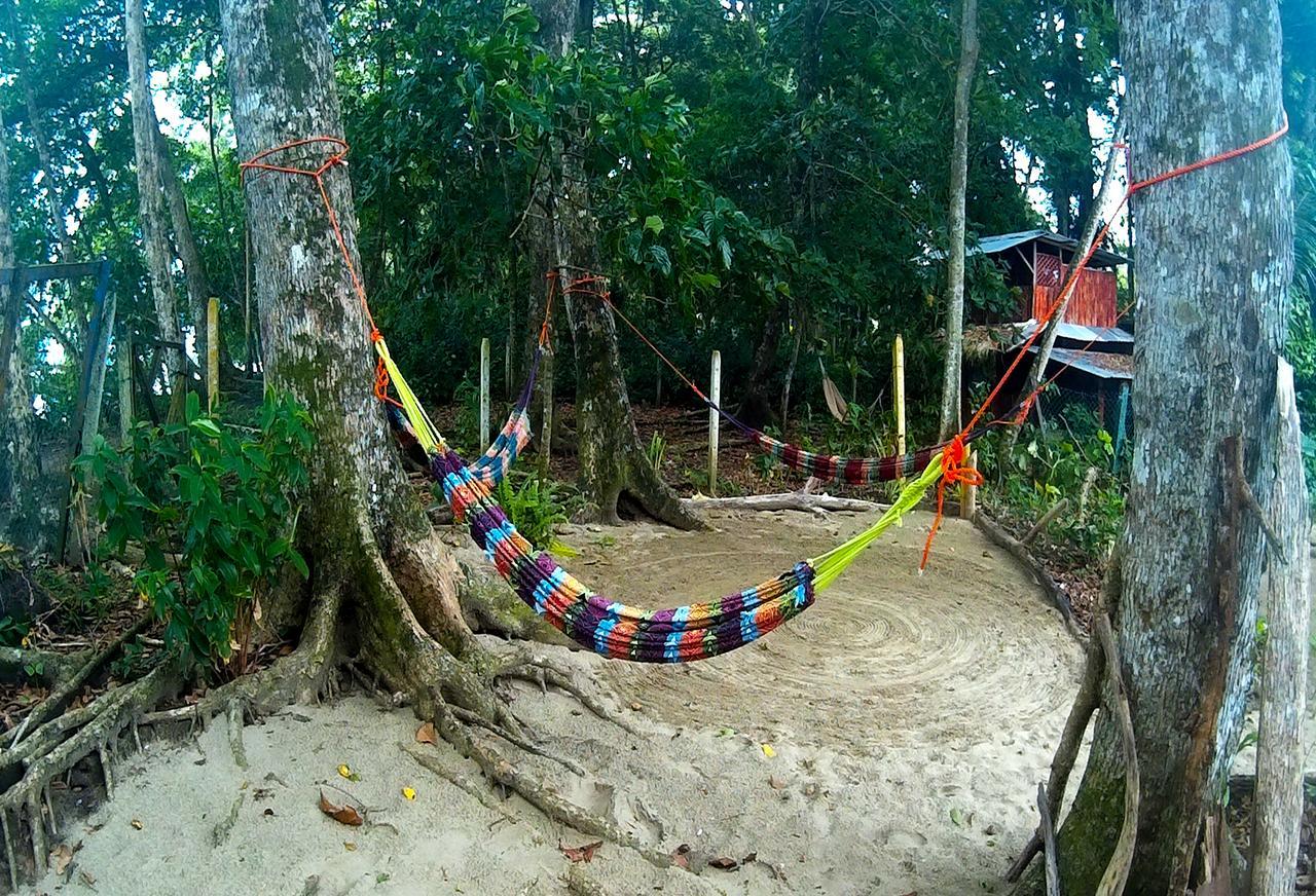 نزل Puerto Viejo de Talamancaفي Oasis المظهر الخارجي الصورة