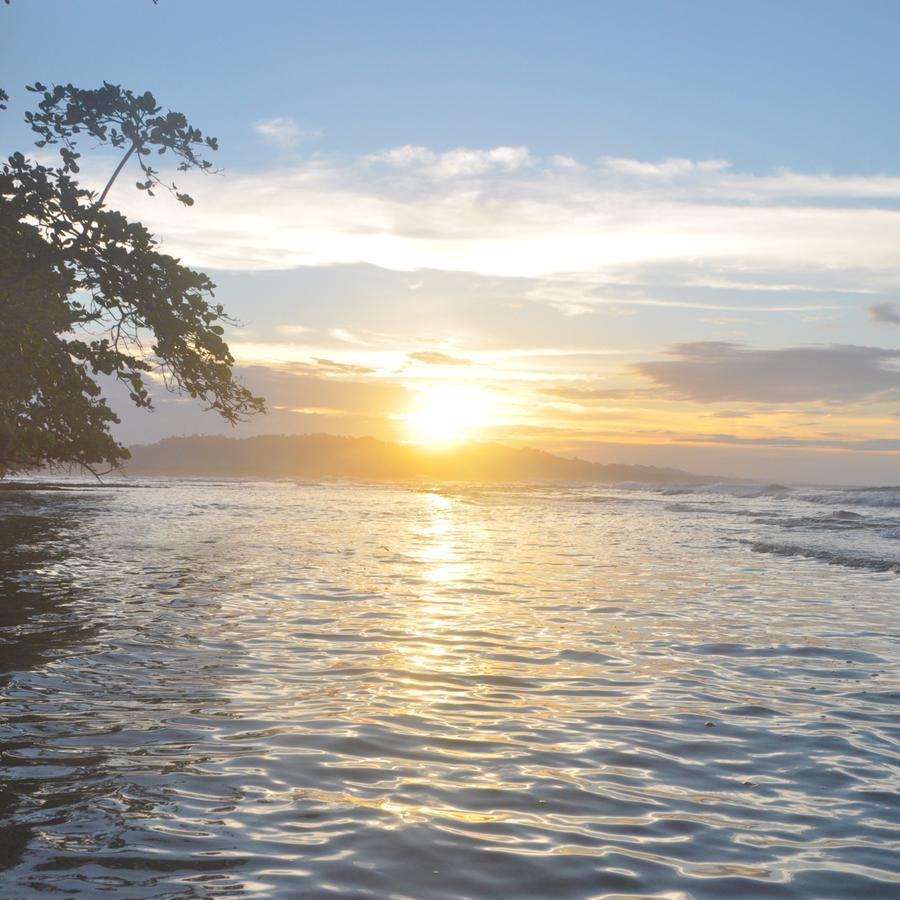 نزل Puerto Viejo de Talamancaفي Oasis المظهر الخارجي الصورة