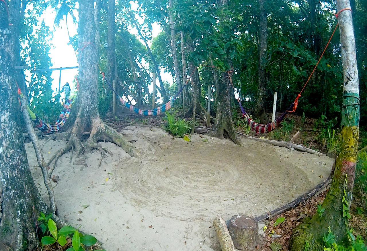 نزل Puerto Viejo de Talamancaفي Oasis المظهر الخارجي الصورة