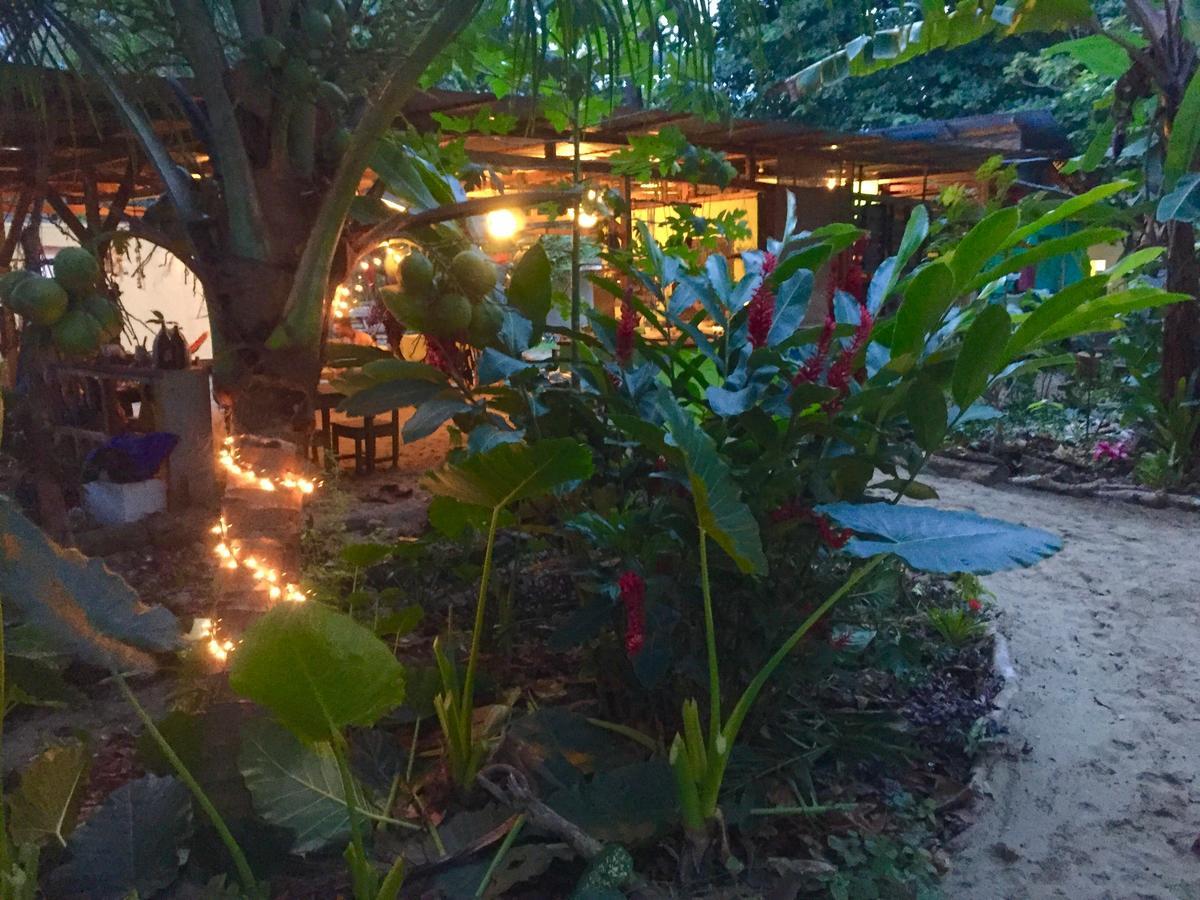 نزل Puerto Viejo de Talamancaفي Oasis المظهر الخارجي الصورة