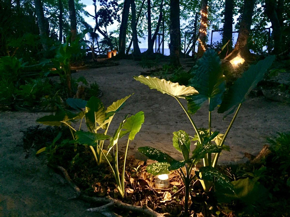 نزل Puerto Viejo de Talamancaفي Oasis المظهر الخارجي الصورة