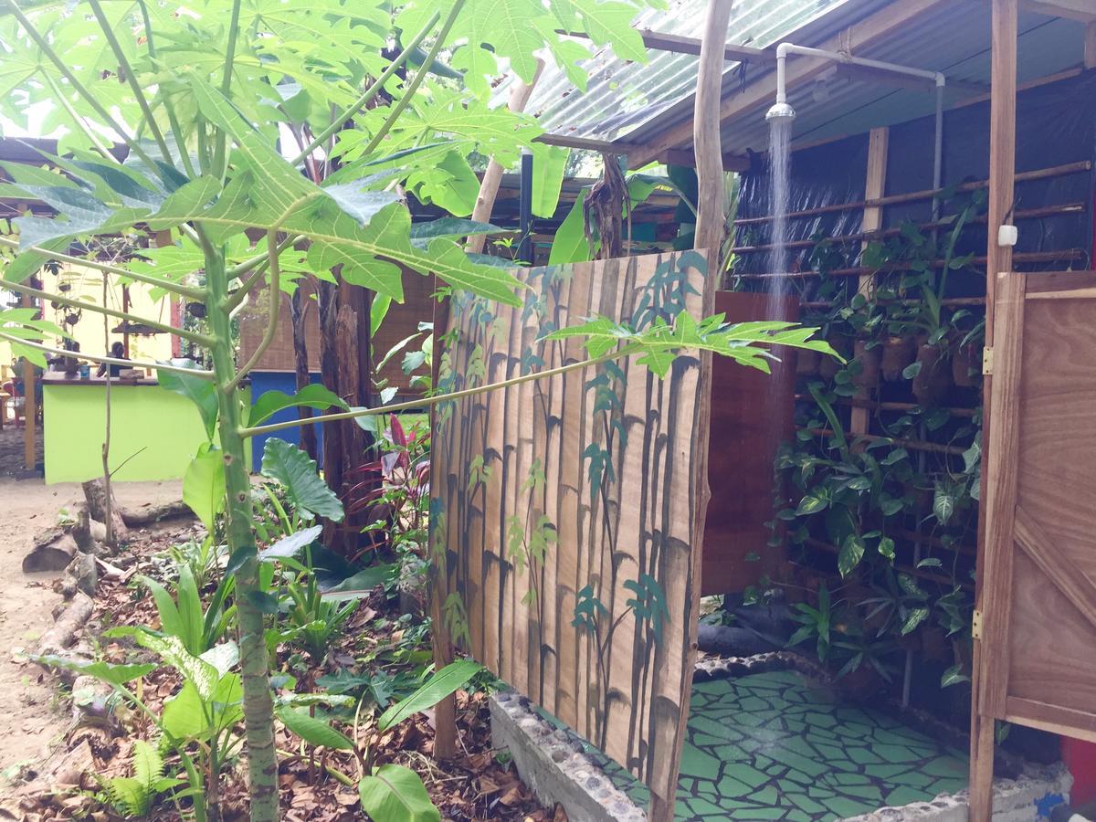 نزل Puerto Viejo de Talamancaفي Oasis المظهر الخارجي الصورة