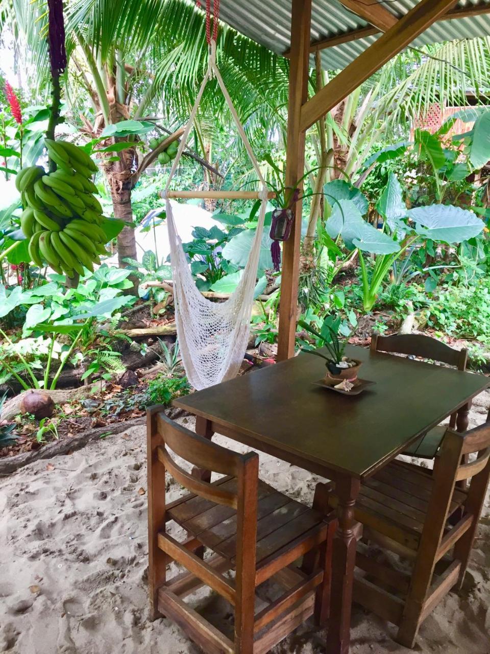 نزل Puerto Viejo de Talamancaفي Oasis المظهر الخارجي الصورة