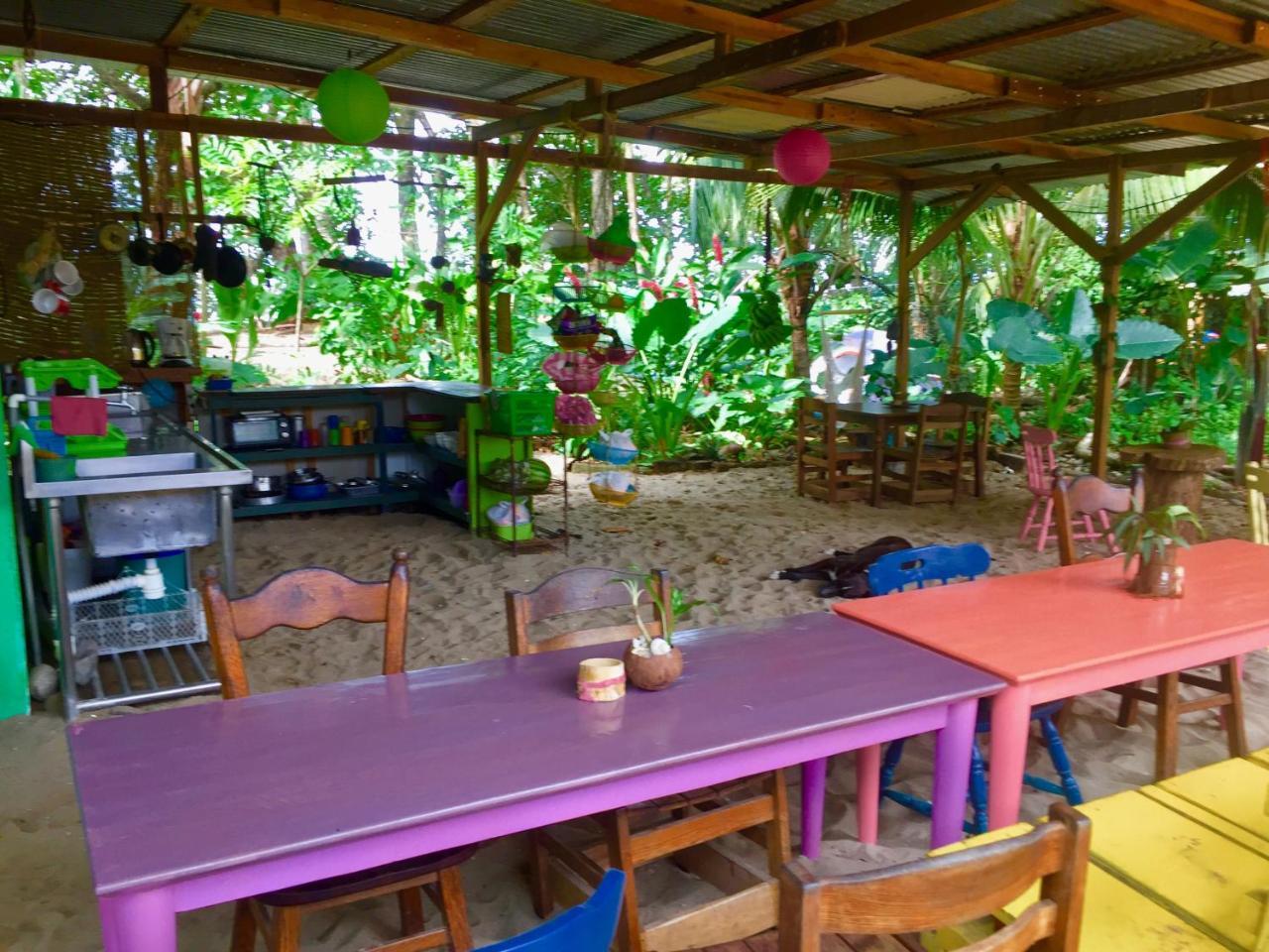 نزل Puerto Viejo de Talamancaفي Oasis المظهر الخارجي الصورة