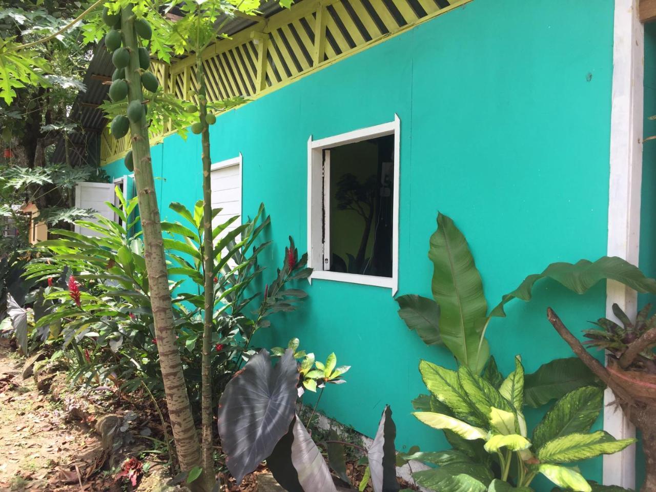 نزل Puerto Viejo de Talamancaفي Oasis المظهر الخارجي الصورة