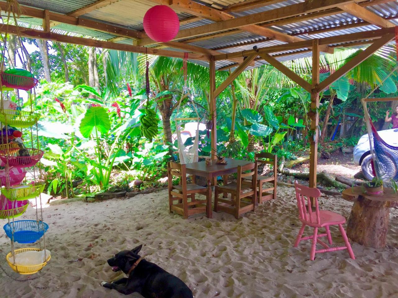 نزل Puerto Viejo de Talamancaفي Oasis المظهر الخارجي الصورة