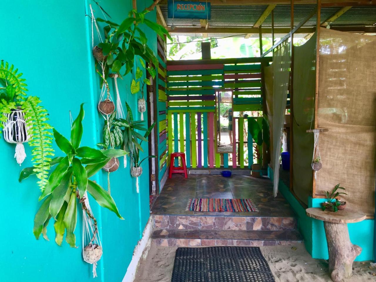 نزل Puerto Viejo de Talamancaفي Oasis المظهر الخارجي الصورة