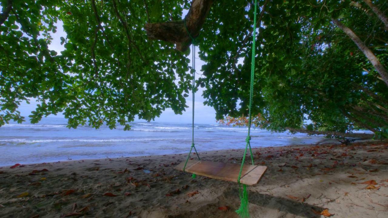 نزل Puerto Viejo de Talamancaفي Oasis المظهر الخارجي الصورة